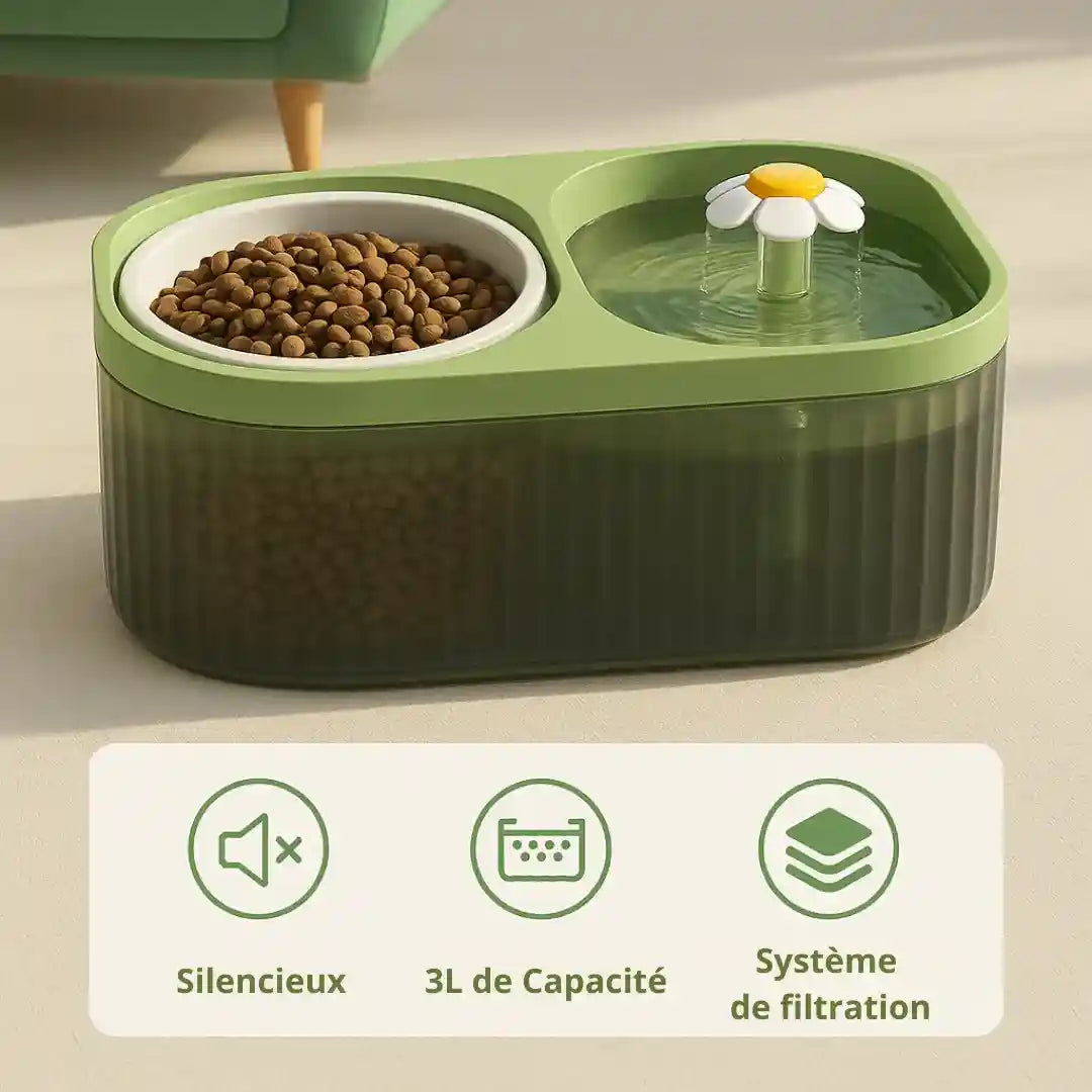 Fontaine à eau pour chat et gamelle inox