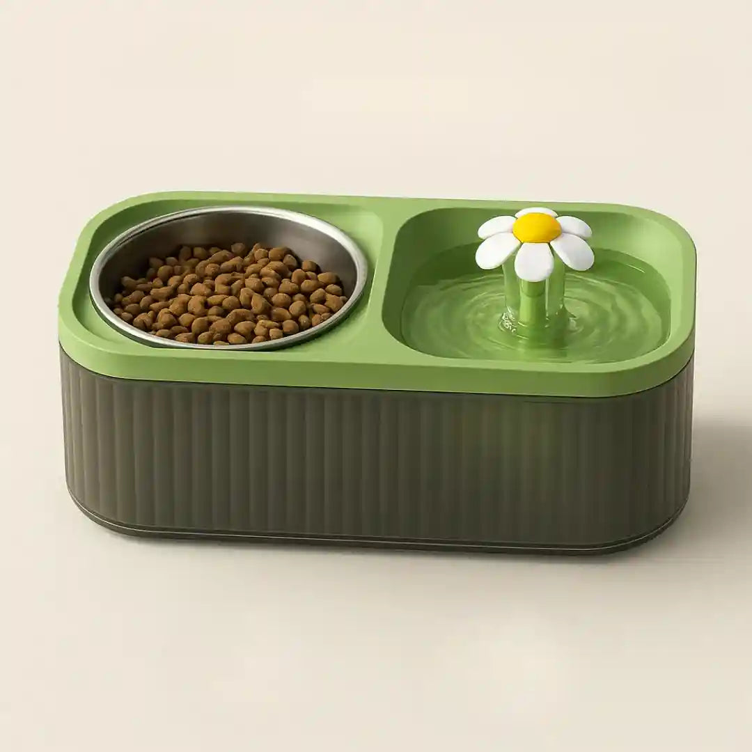 Fontaine à eau chat et gamelle inox vert